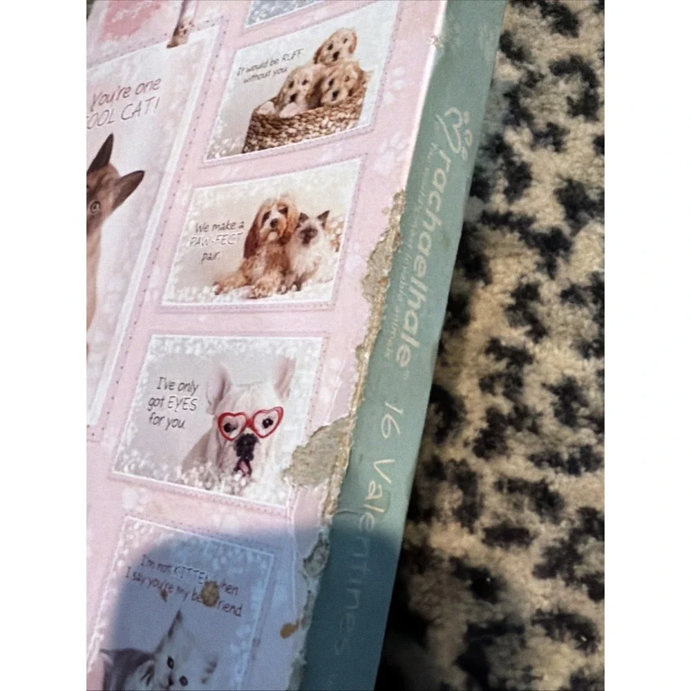 Rachael Hale 16 Valentines & Pencils Sealed-‎ Sweet Cats Dogs Classroom Exchange